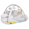Skip Hop Silver Lining Cloud - Activity Gym