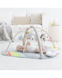 Skip Hop Silver Lining Cloud - Activity Gym -Selected Baby Products Stores 307150 2