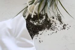 Maovic Organic Buckwheat Pillow- Peachy Flowers 4 Maovic Organic Buckwheat Pillow- Peachy Flowers -Selected Baby Products Stores il fullxfull.1463337310 mt9c 1